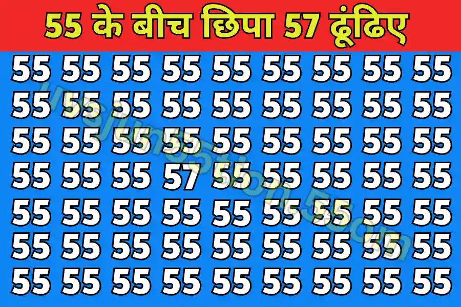 Optical illusion image in hindi