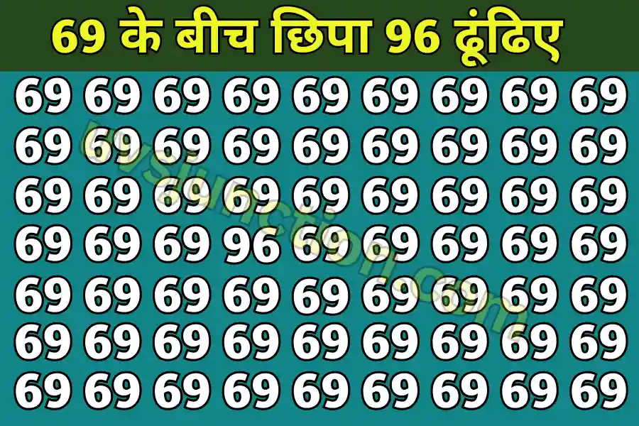 optical illusion images in hindi