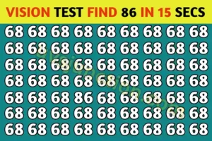 Optical illusion Vision Test