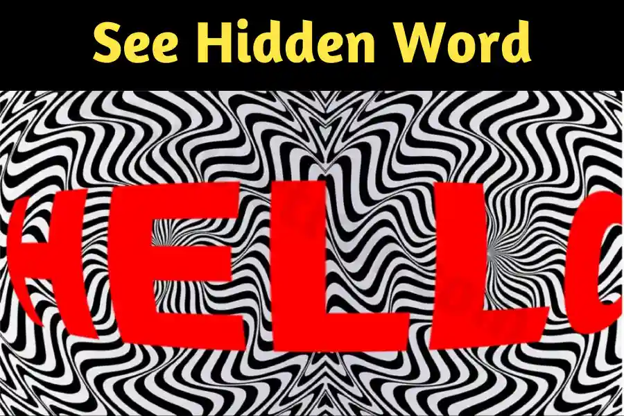 optical illusion image
