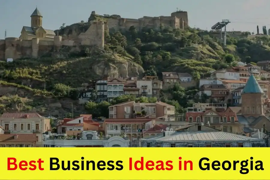 Best Business Ideas in Georgia to Start in 2024